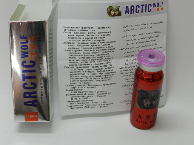 2__Arctic_Wolf_10_