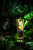 Масло для массажа Shunga Irresistible «Asian Fusion», возбуждающее, 240 мл, 1218 SG