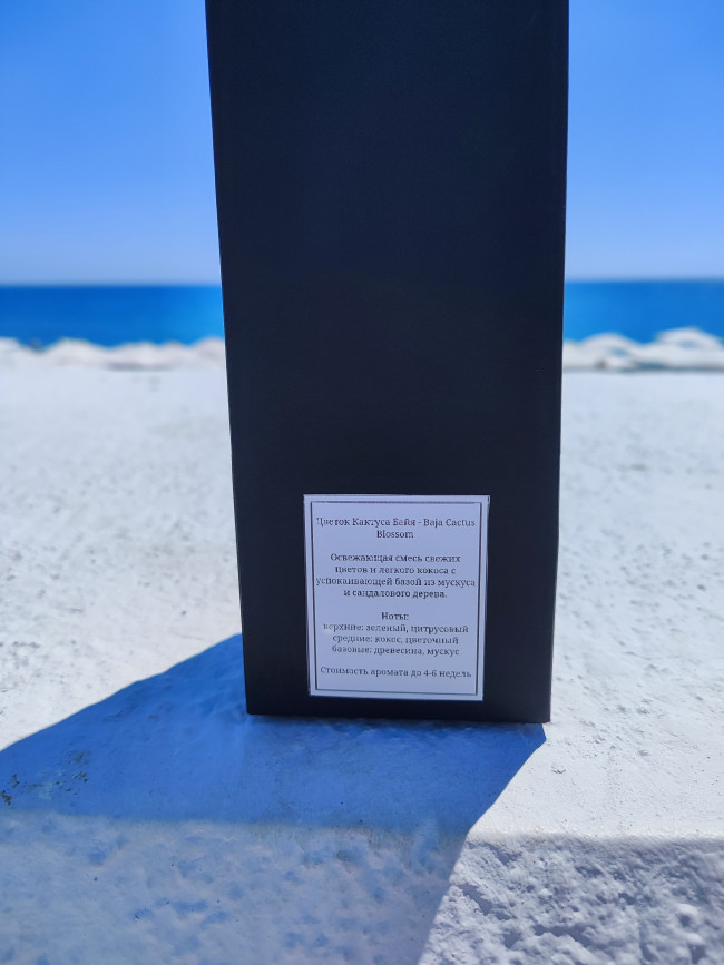 цветок кактуса