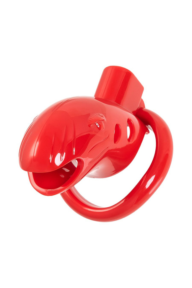 1af39c299d336848afce55b6dda3ccd7